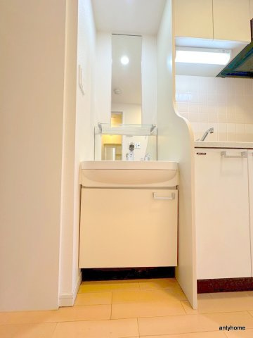 プレサンス難波EASTモダニティ 仲介手数料無料の洗面所