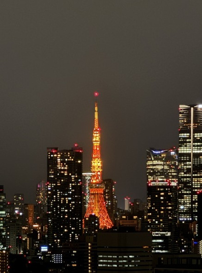 【展望】 | アーバンドックパークシティ豊洲タワーA
