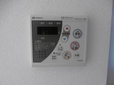 SELENEのその他