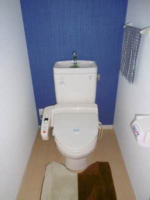 SELENEのその他