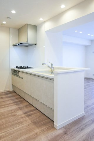 新蓮根団地　第１４号棟のキッチン|新蓮根団地　第１４号棟：人気の対面式システムキッチンは収納力もありキッチン用品もスッキリ収納可能です！