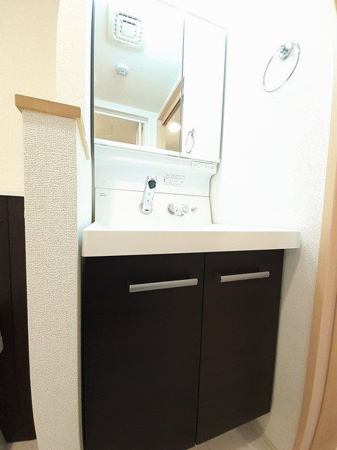 オーキッド都立大学の洗面所