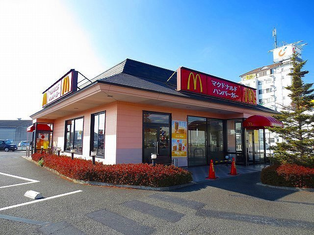 メイプルヒルズの周辺|マクドナルド ５０号足利店まで550m