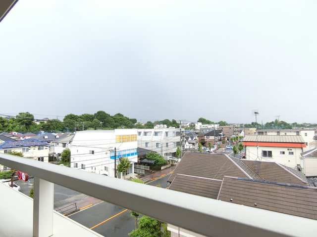 白樺の展望