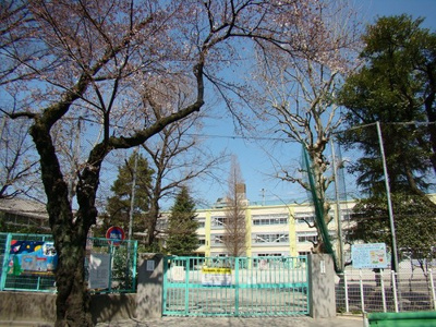 【周辺】 | 杉並区善福寺4丁目　新築戸建　C号棟 14500万円 | 杉並区立桃井第四小学校