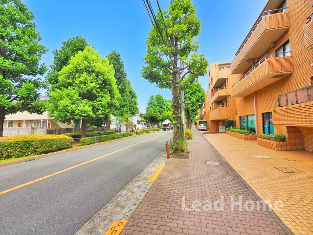 【その他】 | 東高ペアシティ世田谷赤堤 | 前面道路