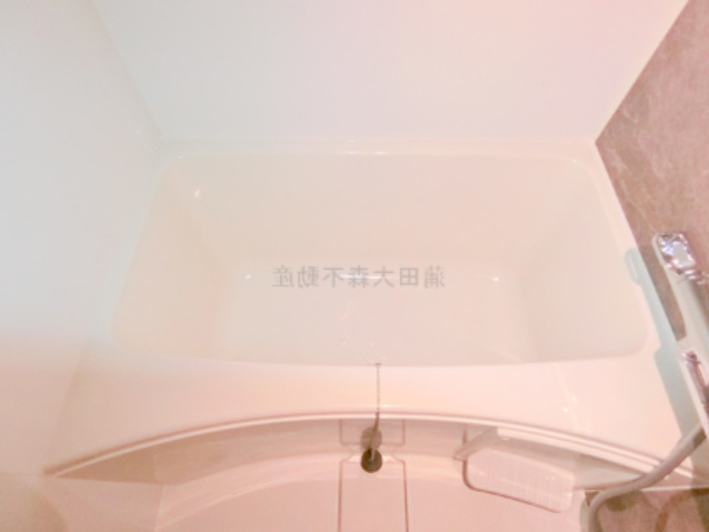 パティーナ蒲田Duoの浴室