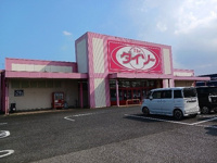 ダイソー 八街松島店まで1100m