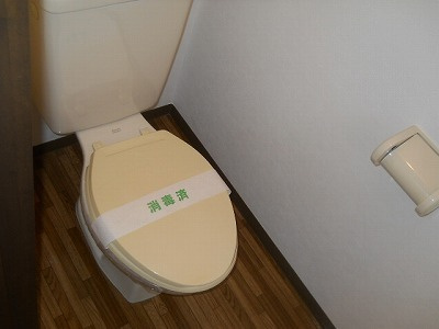 コンパクトで使いやすいトイレです