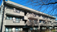 落ち着いた雰囲気の外観です