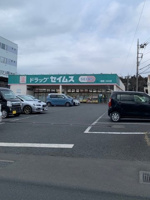 セイムス瑞穂二本木店まで800m