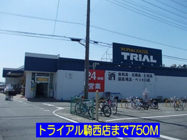 トライアル騎西店まで750m