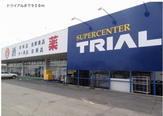 トライアルまで950m