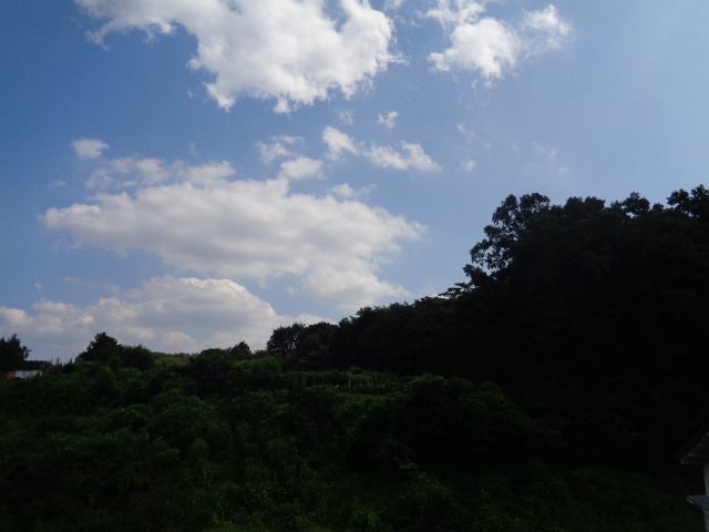 六幸館の展望