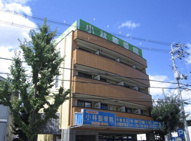 マイドリームの画像