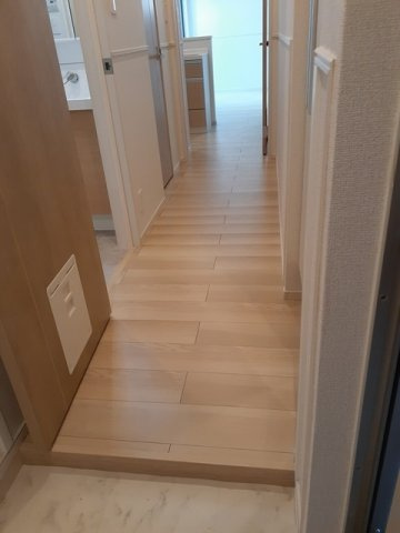 チューリップ　ツリーの玄関