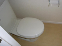 コンパクトで使いやすいトイレです