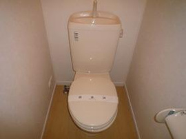 落ち着いた色調のトイレです