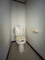 落ち着いた色調のトイレです