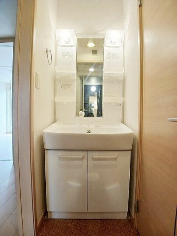 セトル与田の洗面所