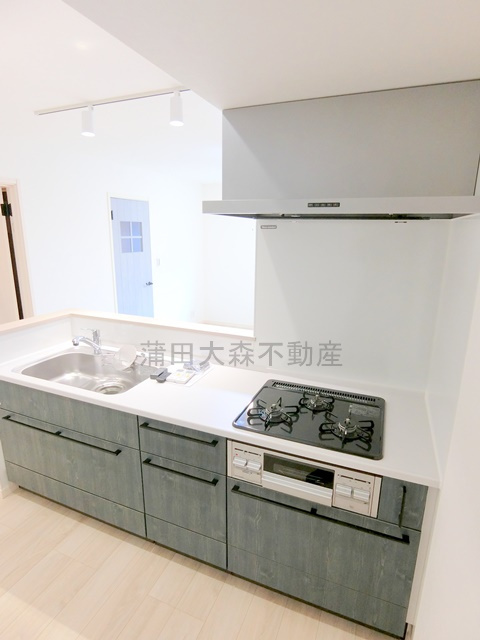 多摩川の甘風つむぐ青空のココルのキッチン|3口ガスのグリル付きシステムキッチン