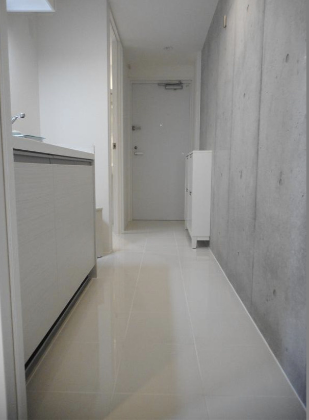 LAPiS COURT YOTSUYA ラピスコートヨツヤの玄関