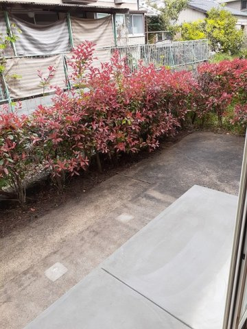 サンライズ弐番館の庭