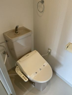 メイプルヒルズ滝野川のトイレ|トイレも気になるポイント