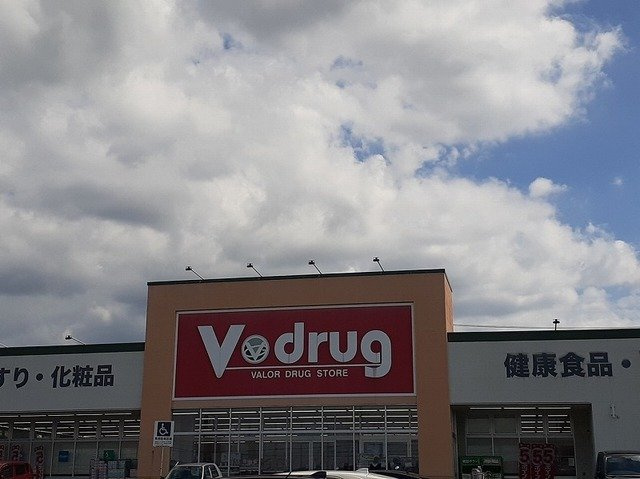 プルマージュⅠの周辺|vdrugまで350m