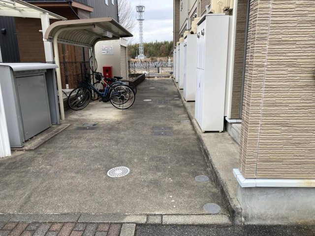 レオネクストアゴーラのその他