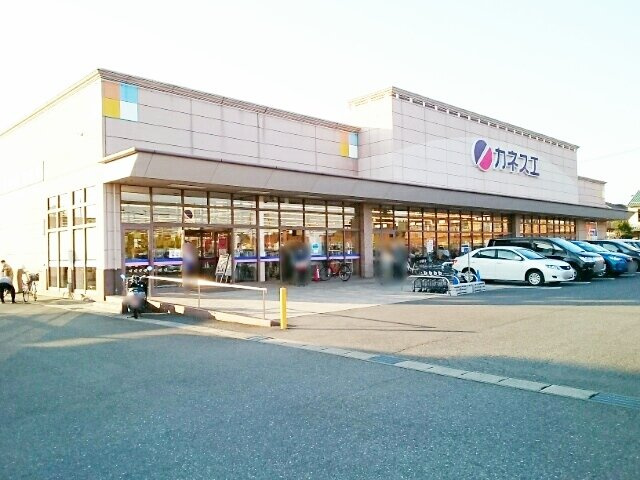 アビタシオン柳戸東の周辺|カネスエ北園通店まで650m