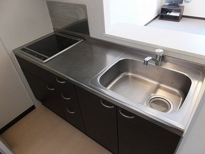 レオネクストナガオⅡのキッチン|備品や設備仕様は号室等により異なります現地をご確認下さい。