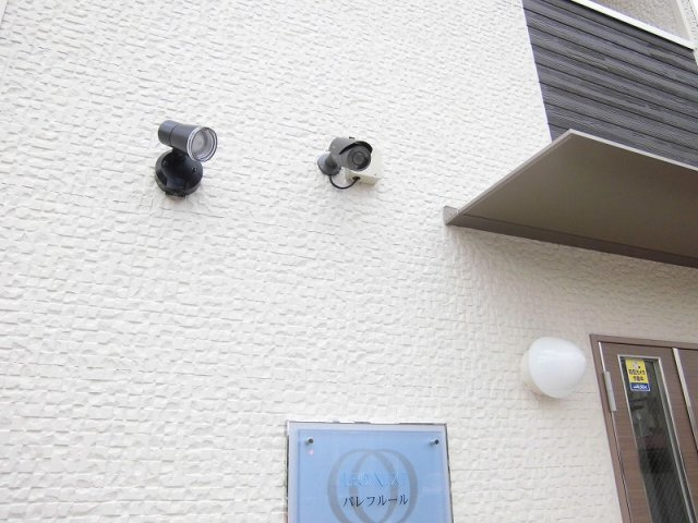 レオネクストパレフルールのその他
