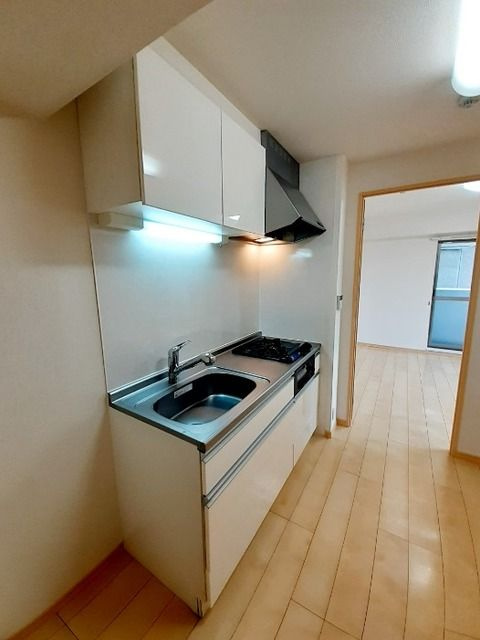 ライゼ　イヅミヤ　Ⅰのキッチン