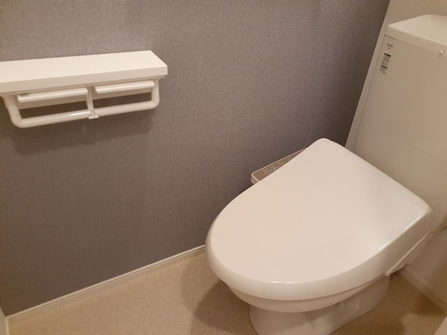 ボヌールのトイレ