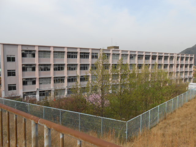 横尾３団地57号棟の周辺|横尾小学校