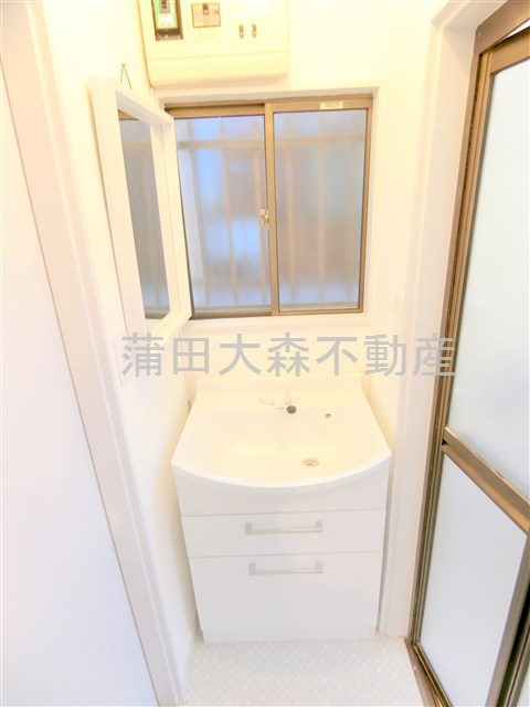 大田ハウスシオンの洗面所|独立洗面台
