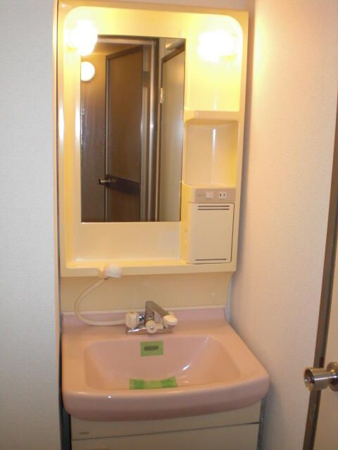 マンションルピナスの洗面所