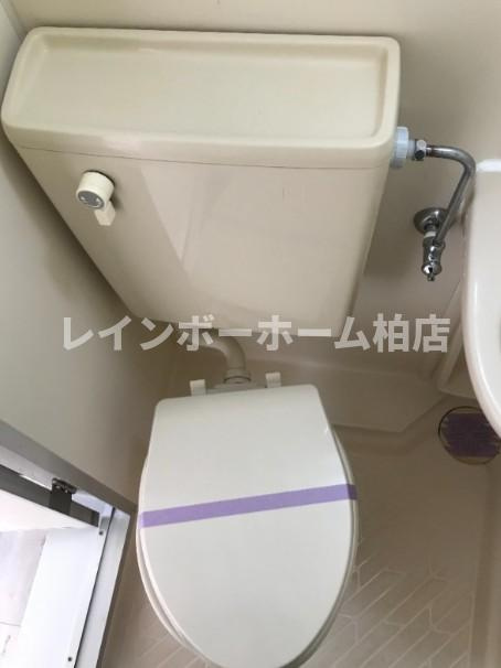特典：仲介手数料が無料です!!のトイレ|コンパクトで使いやすいトイレです