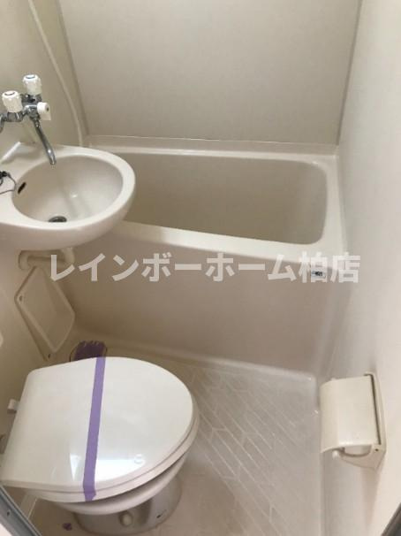 特典：仲介手数料が無料です!!の浴室|お風呂です