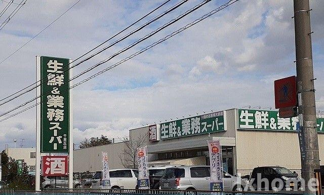 グラウスのその他