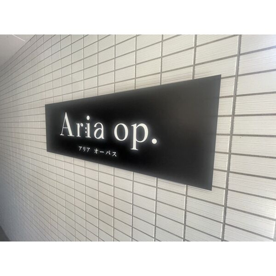 【その他】アリアオーパス 