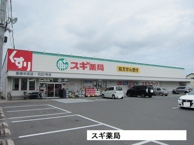 ローレル藤沢の周辺|スギ薬局豊橋中浜店まで350m