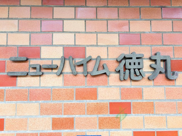 ニューハイム徳丸の現況写真