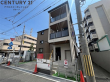 アルストロメリア5の画像