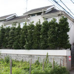 小平市仲町のアパートの外観