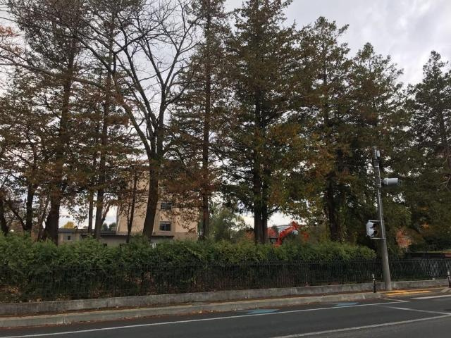 エクレール館向の周辺|国立大学法人岩手大学まで1,044ｍ