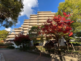 【外観】 | ブルックス神戸 | 紅葉がマンションに綺麗に映えますね♪