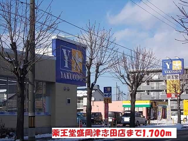 クレメント津志田Ｂの周辺|薬王堂盛岡津志田店まで1700m