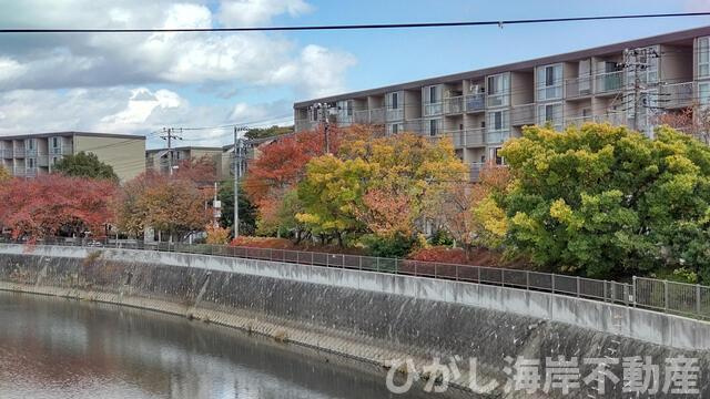 茅ヶ崎ニューライフ２号棟の外観|現地外観　大規模修繕後 